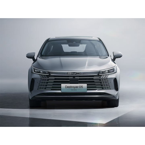 BYD Destroyer 05 - 图片 2