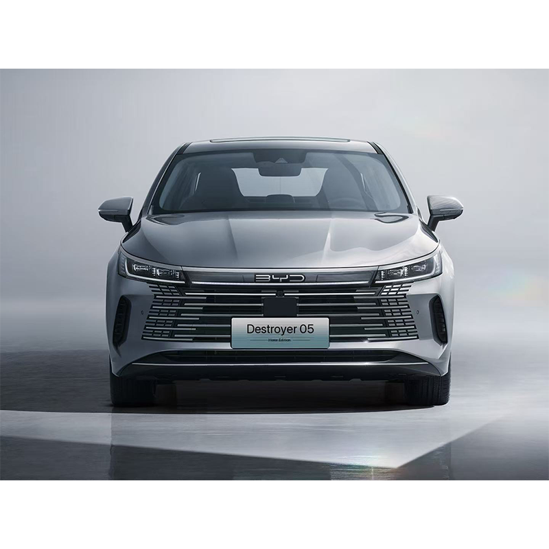 BYD Destroyer 05 - 图片 2
