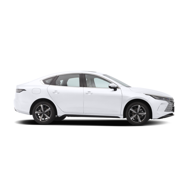 BYD Destroyer 05 - 图片 1