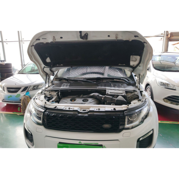 Used    2017     Land Rover Range Rover Evoque  2.0T British Style Edition - 图片 14