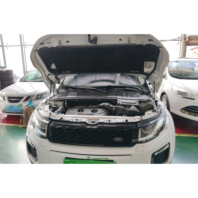 Used    2017     Land Rover Range Rover Evoque  2.0T British Style Edition - 图片 14
