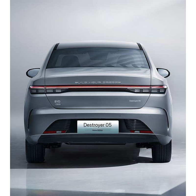 BYD Destroyer 05 - 图片 3