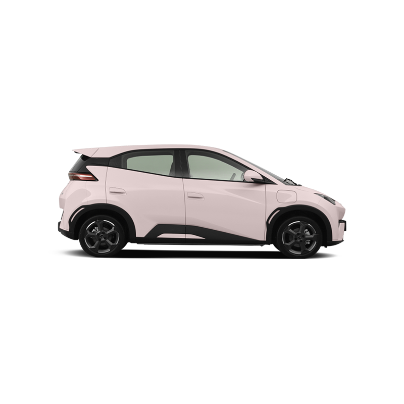 BYD  Seagull