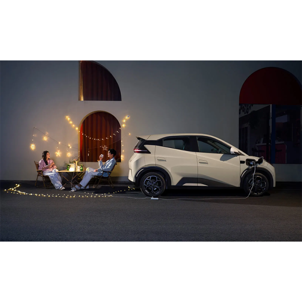 BYD  Seagull - 图片 7