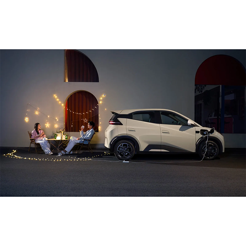 BYD  Seagull - 图片 7