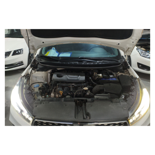 Used   2019   Kia  K3 1.6 GLS Automatic - 图片 9