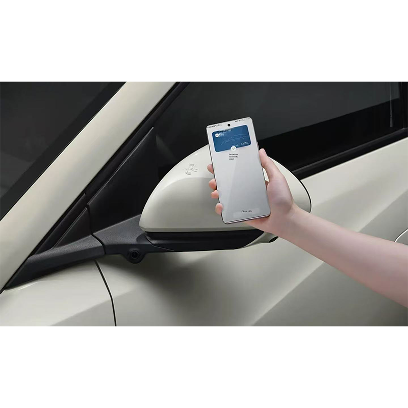 BYD  Seagull - 图片 9