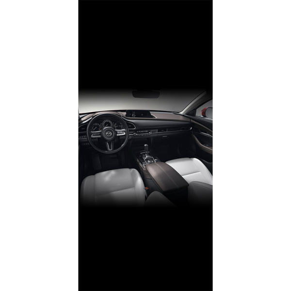 Mazda CX-30 - 图片 10