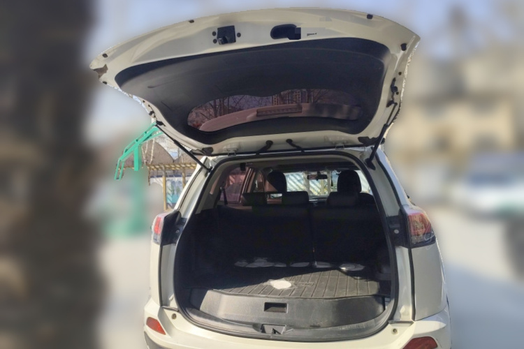 Used  2018  Toyota RAV4  2.0L CVT 2WD Style Edition, National V - 图片 11