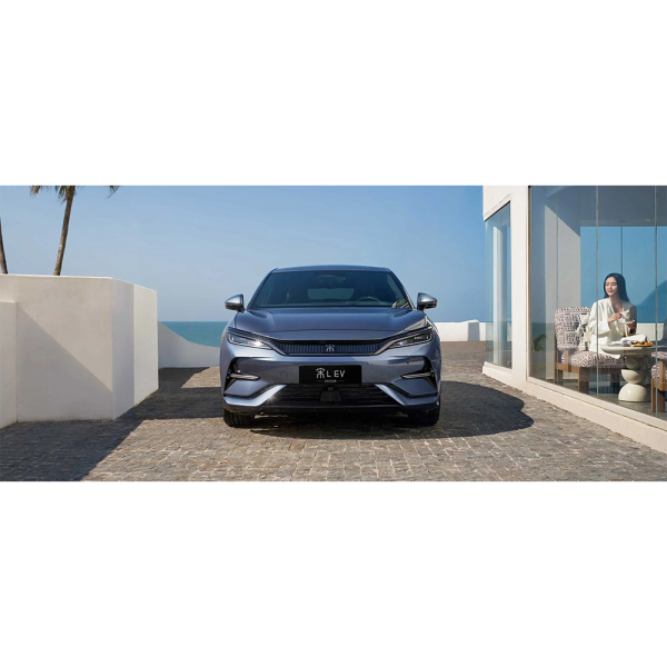 BYD  Song  L EV - 图片 2