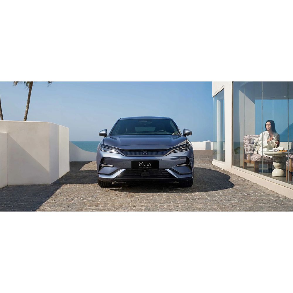 BYD  Song  L EV - 图片 2