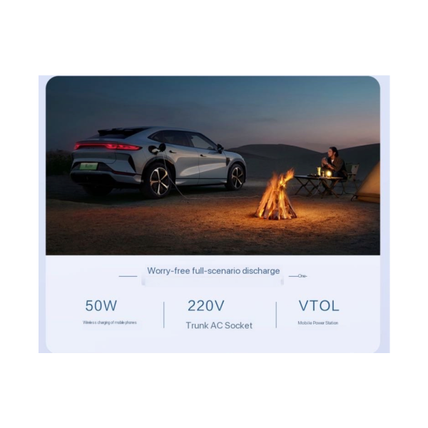 BYD  Song  L EV - 图片 9