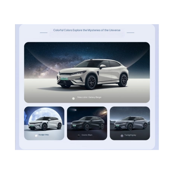 BYD  Song  L EV - 图片 12